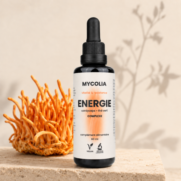 Flacon MYCOLIA ÉNERGIE et cordyceps